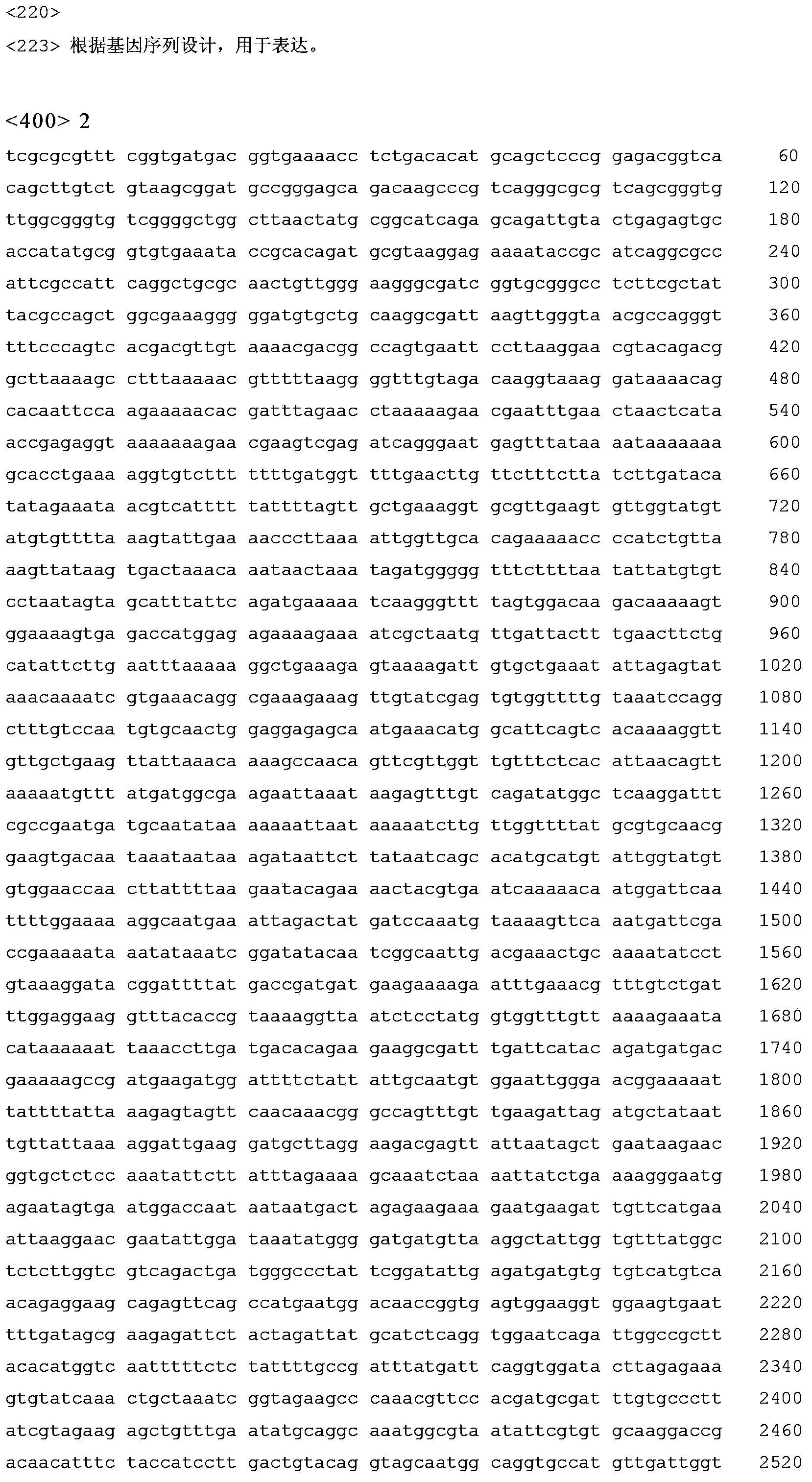 Optimized alkaline pectinase gene and application thereof