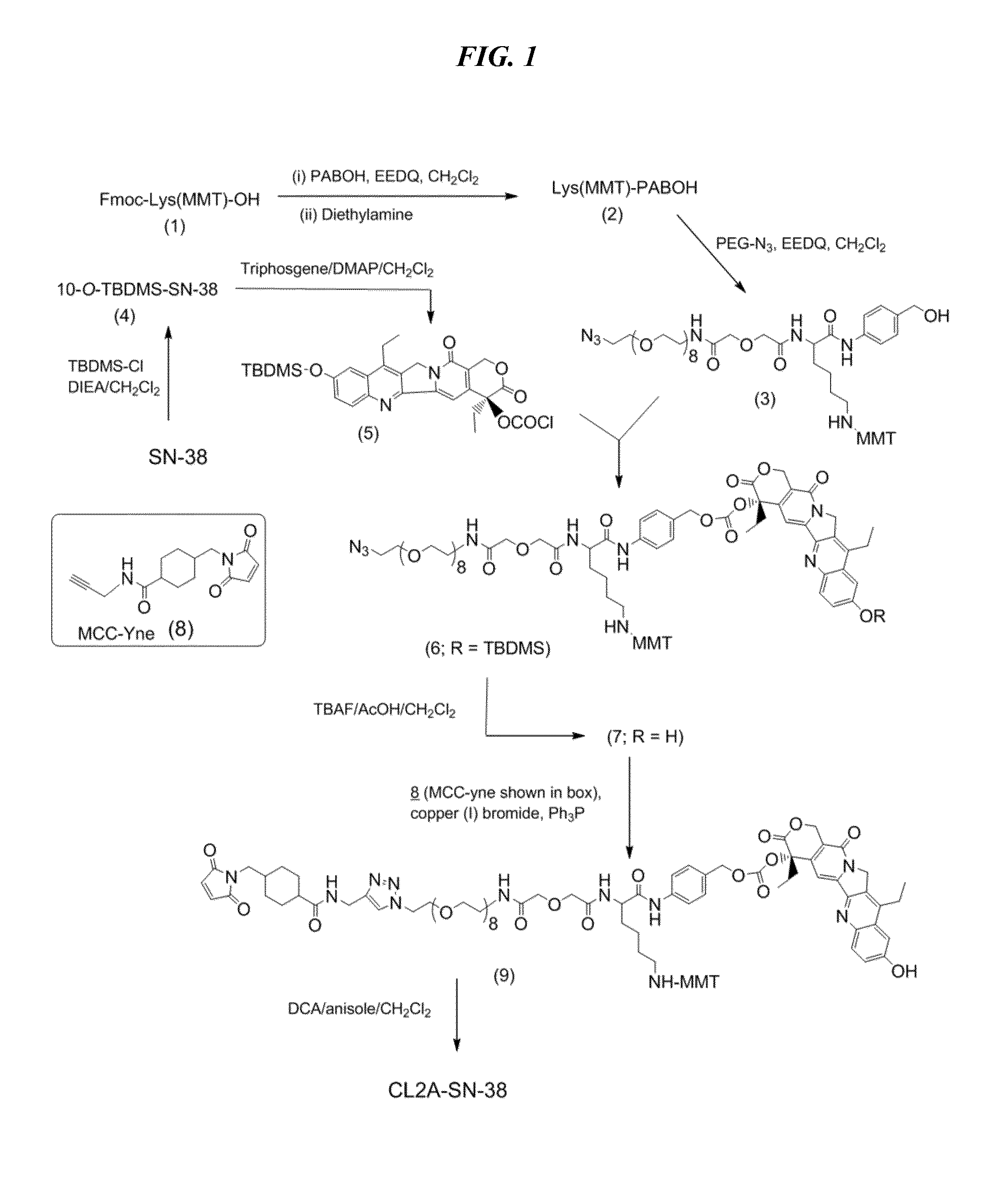 Antibody-sn-38 immunoconjugates with a cl2a linker