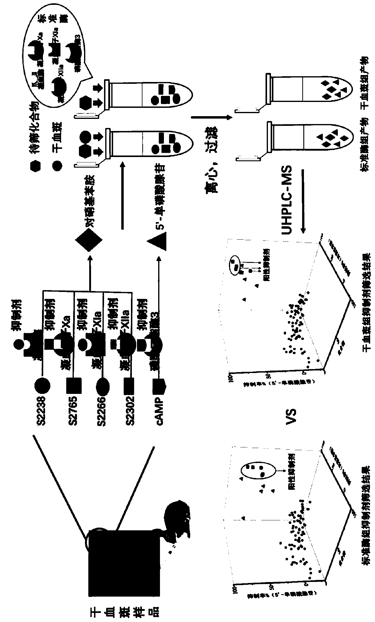 Liquid chromatography-mass spectrometry screening method for multi-target antithrombotic active substance