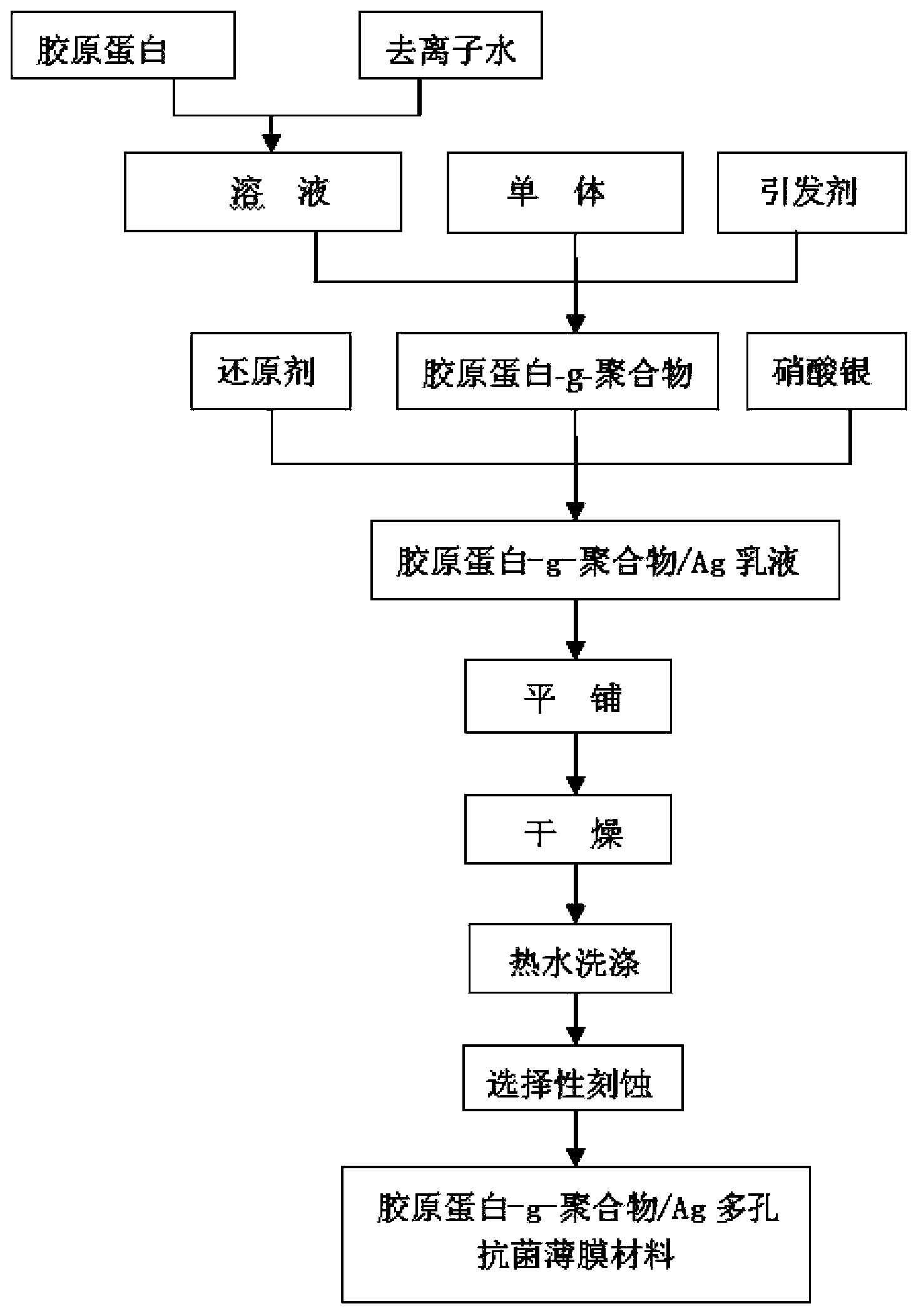 Collagen-g-polymer/Ag multi-hole nano antibacterial film material and preparation method thereof