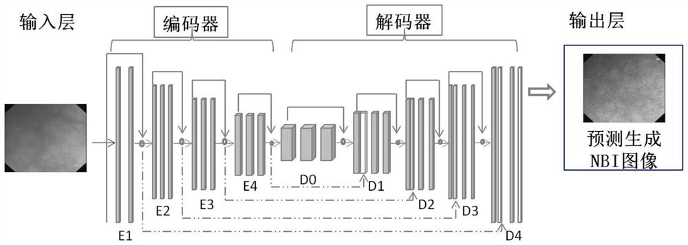 Convolutional neural network model for predicting and generating NBI image according to endoscope white light image and construction method and application of convolutional neural network model