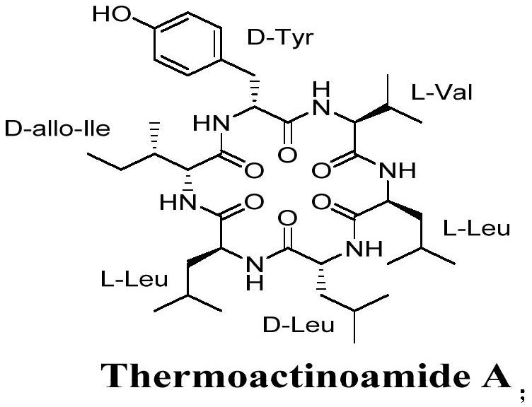 A kind of synthetic method of antibacterial activity cyclic hexapeptide thermoactinoamide A