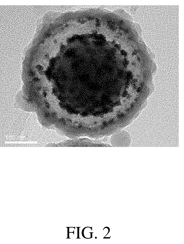 Composite photocatalysts, method for making the same and application thereof