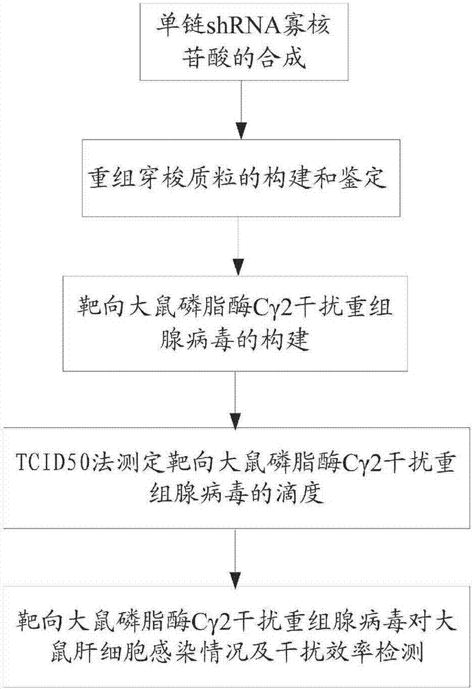 Targeted rat phospholipase Cgamma2 interfering recombinant adenovirus, and construction method and application thereof