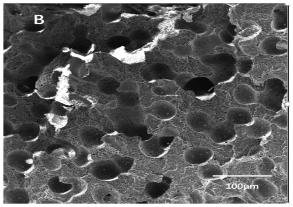 Preparation method of PIF foamed polymer sound insulation material