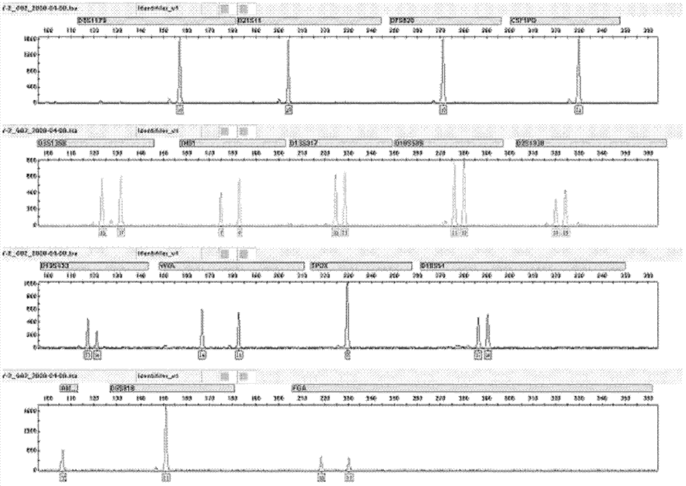 Method for preparing short tandem repeat (STR) parting standard substances