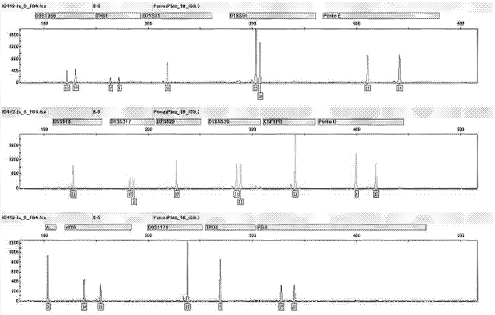 Method for preparing short tandem repeat (STR) parting standard substances