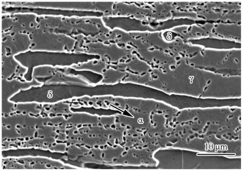 Heat treatment process for improving mechanical property of Fe-Mn-Al-C dual-phase steel by utilizing gamma-to-alpha allotropy transformation