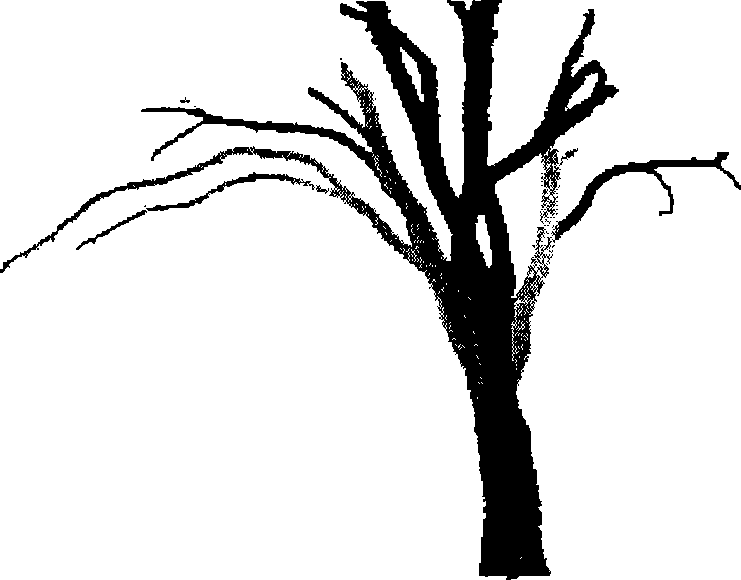 Tree measurement and reconstruction method based on single three-dimensional laser scanning