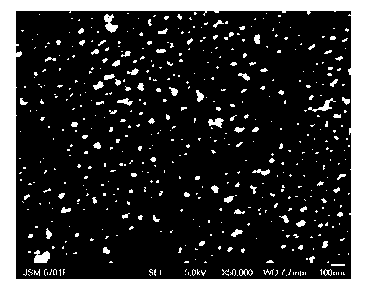 Method for building ion channel on liquid/liquid interfaces and method for detecting effect of size of ion channel on ion transferring