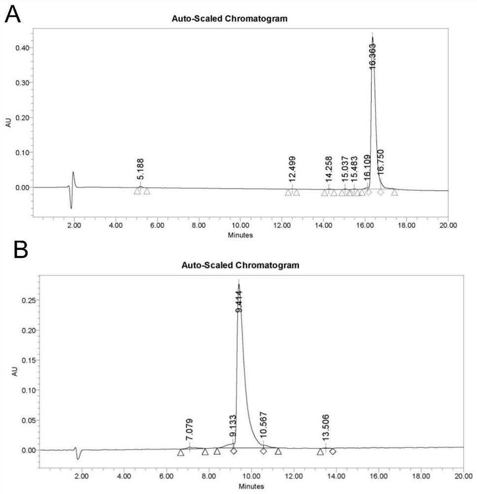 An active polypeptide capable of promoting osteogenesis and inhibiting osteoclastolysis and its application