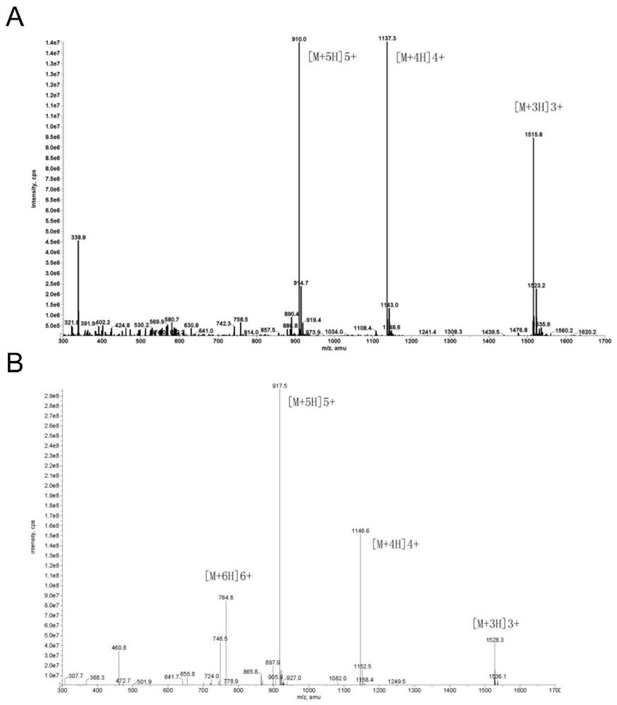 An active polypeptide capable of promoting osteogenesis and inhibiting osteoclastolysis and its application