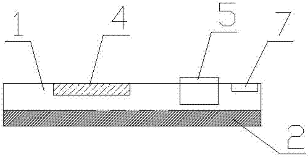 Electrode slice with optical fiber prompt