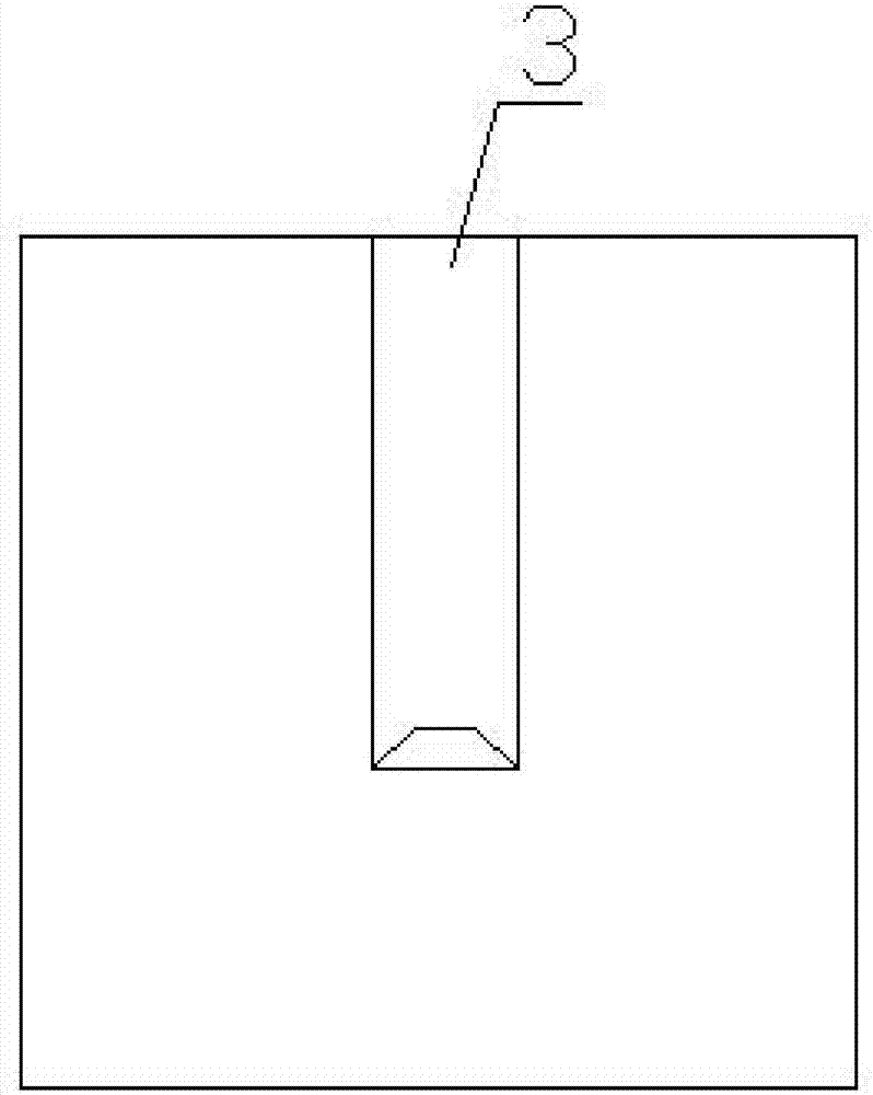 Electrode slice with optical fiber prompt