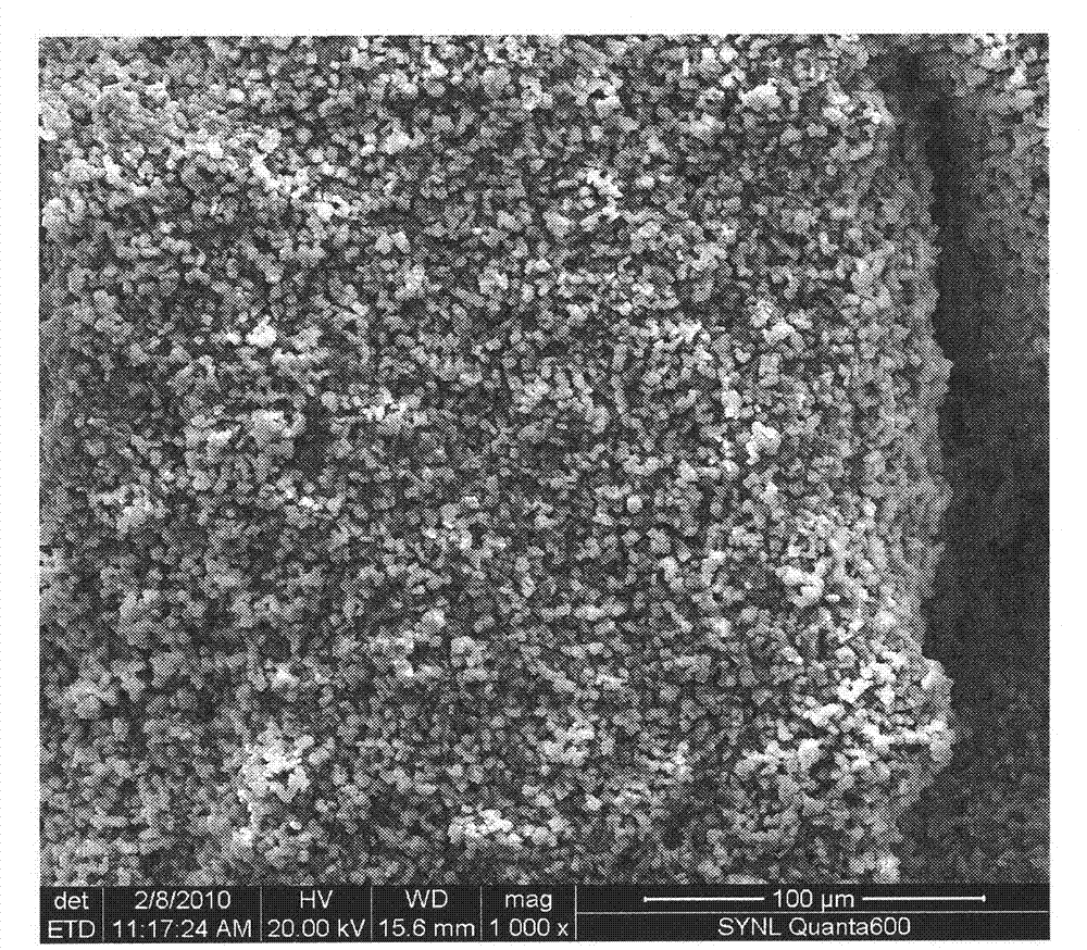 High intercrystal poriness zeolite coating material on surface of porous silicon carbide carrier and preparation method thereof