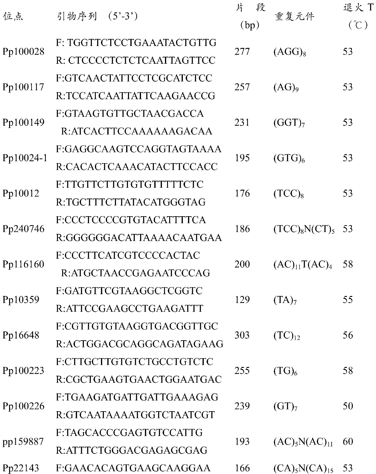 Portunus pelagicus polymorphic microsatellite molecular marker, identification method and application