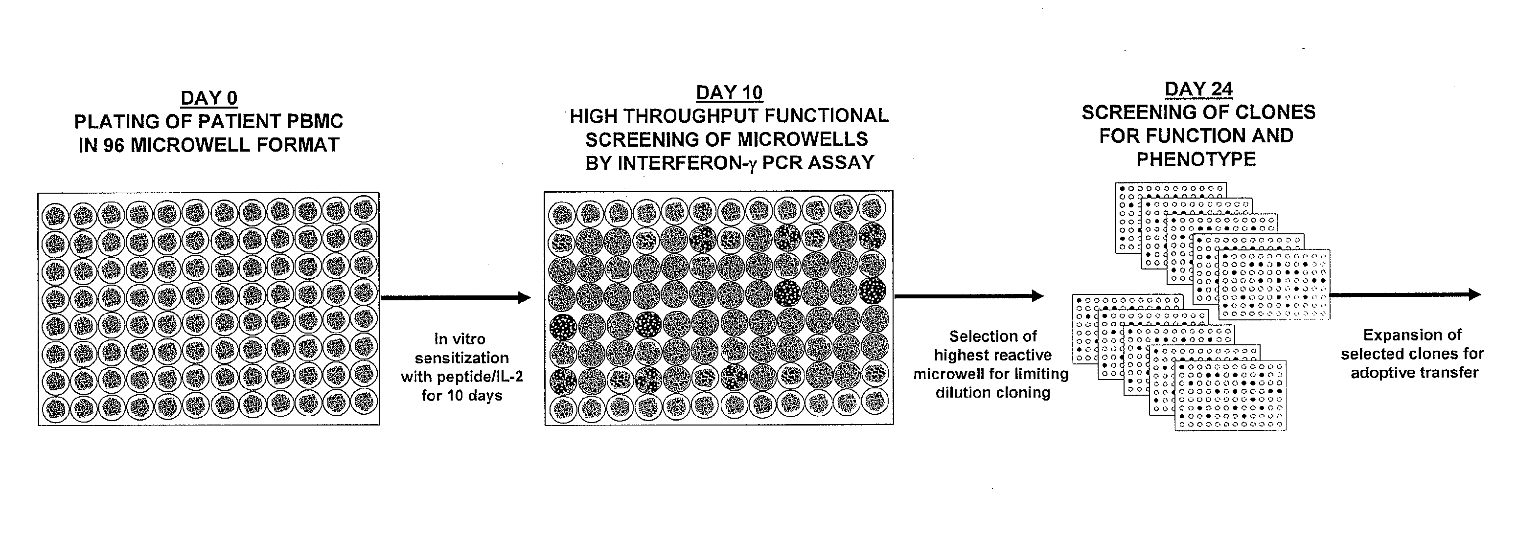 Methods of obtaining antigen-specific t cell populations