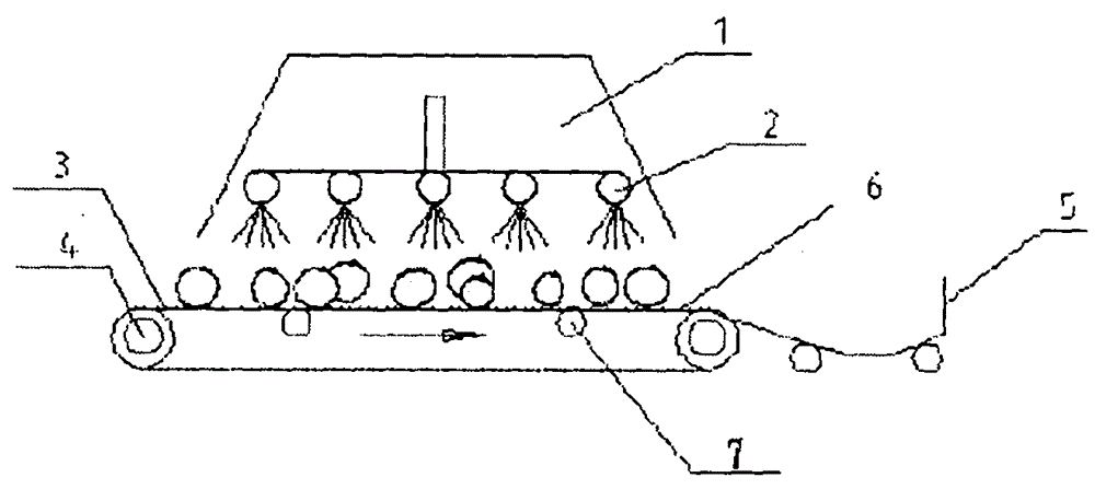 Fruit cleaning device driving fruit to tumble