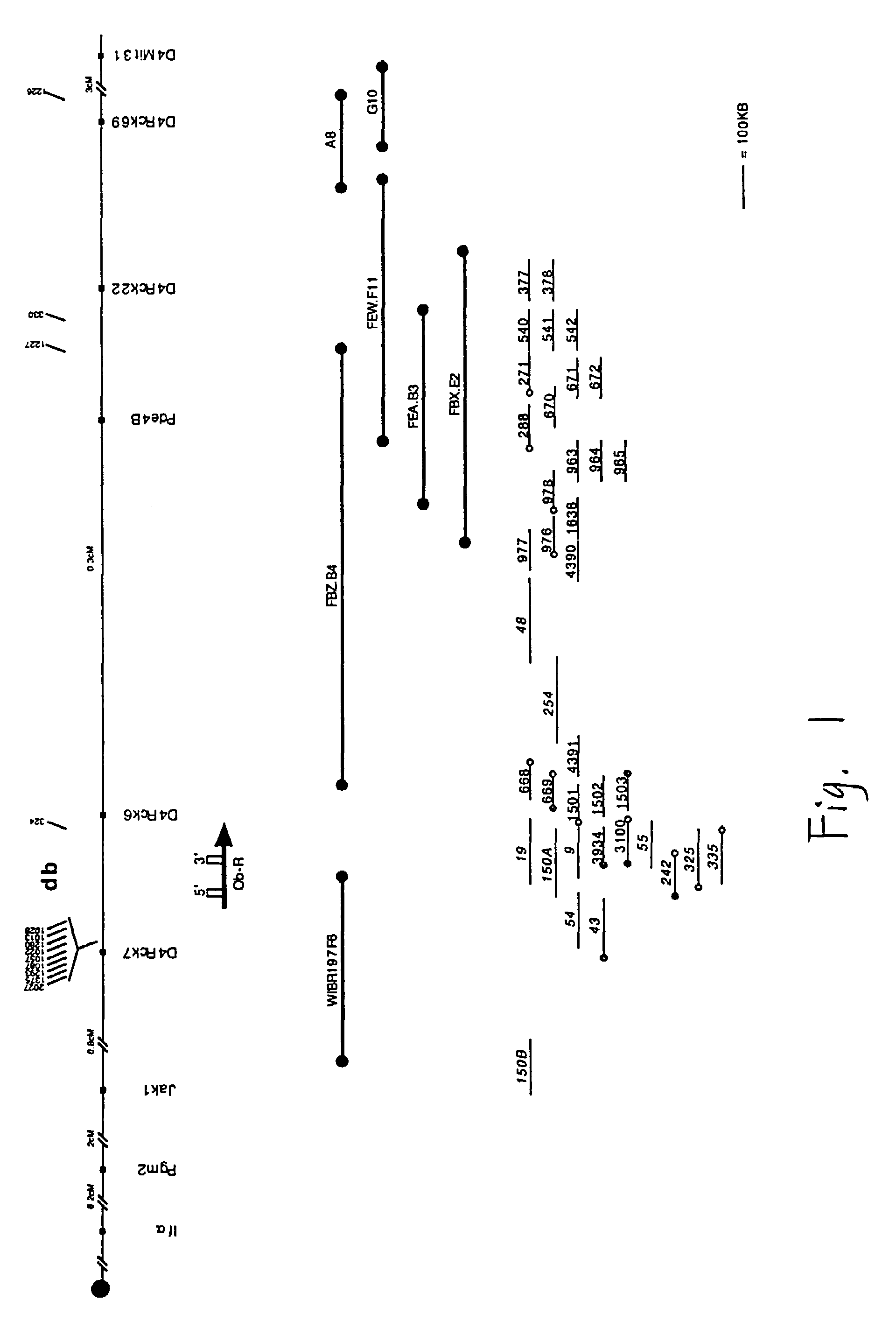 Nucleic acids db, the receptor for leptin