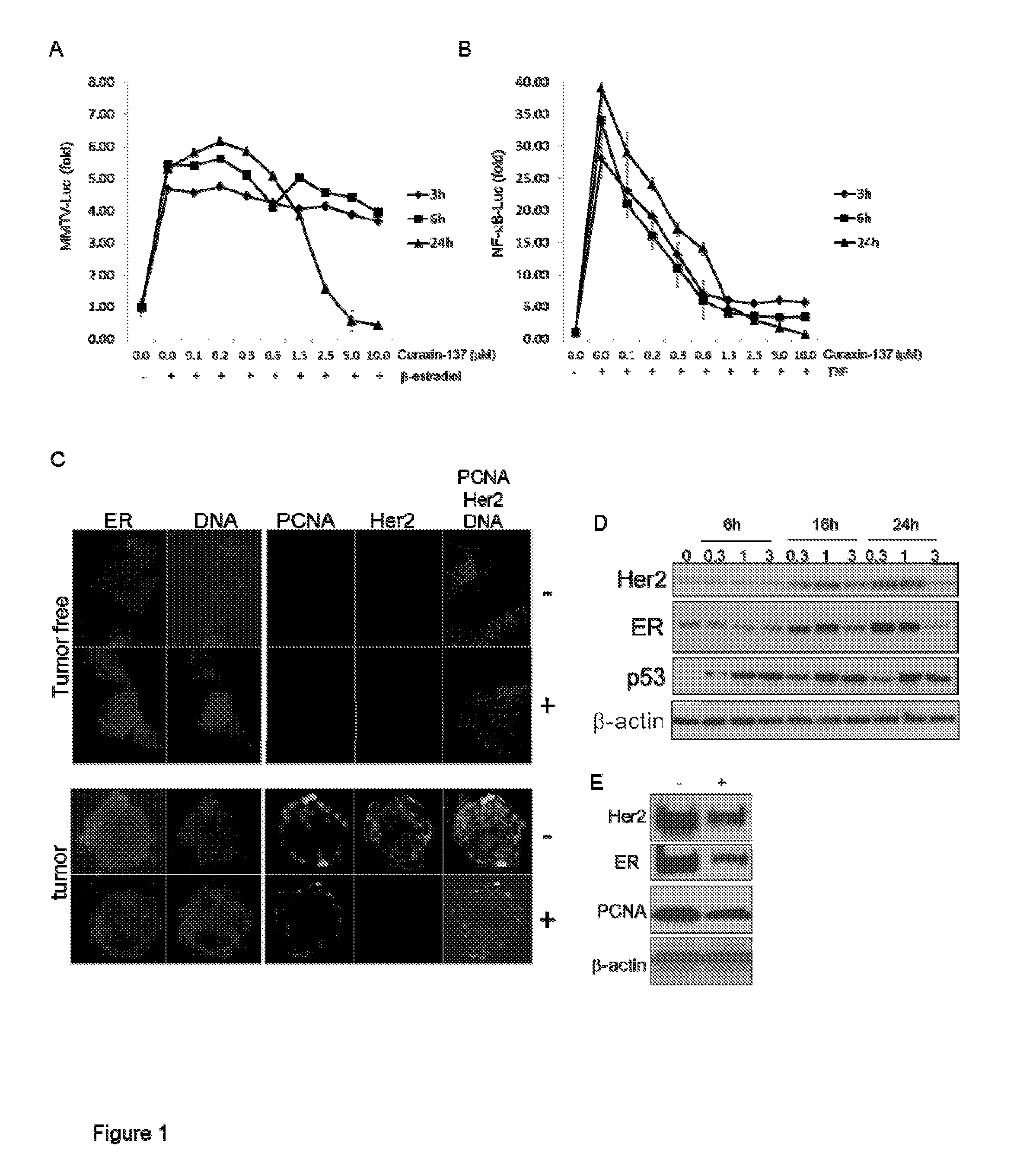 Curaxins for use in treating breast cancer and method for identifing patients likely to respond