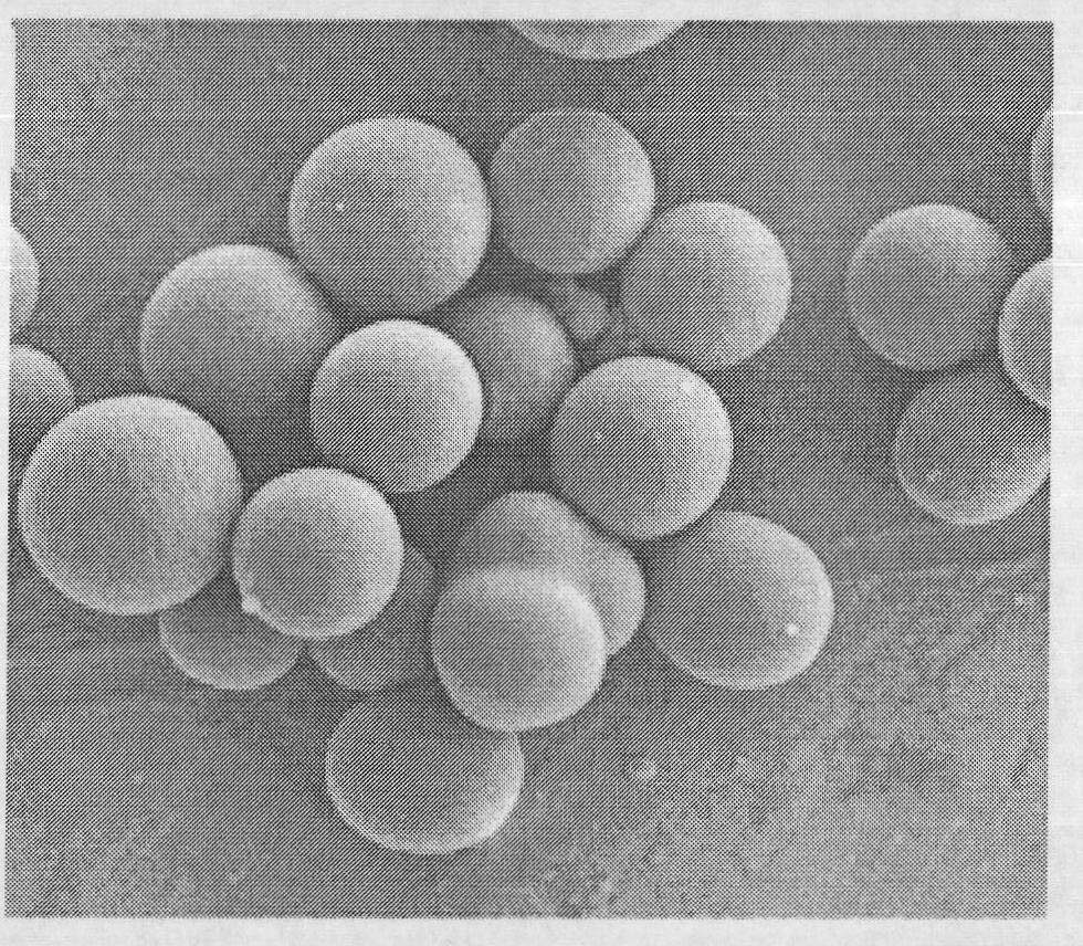 Method for manufacturing carbon microspheres by using waste macromolecules