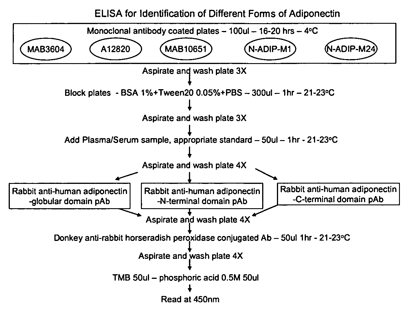 Characterization and Identification of Unique Human Adiponectin Isoforms and Antibodies