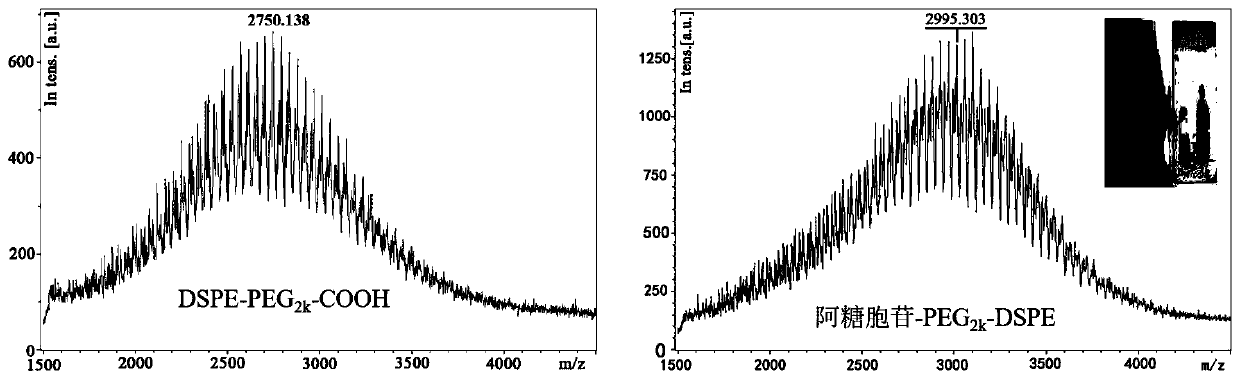 Preparation method and application of cytarabine-modified methotrexate-loaded liposome