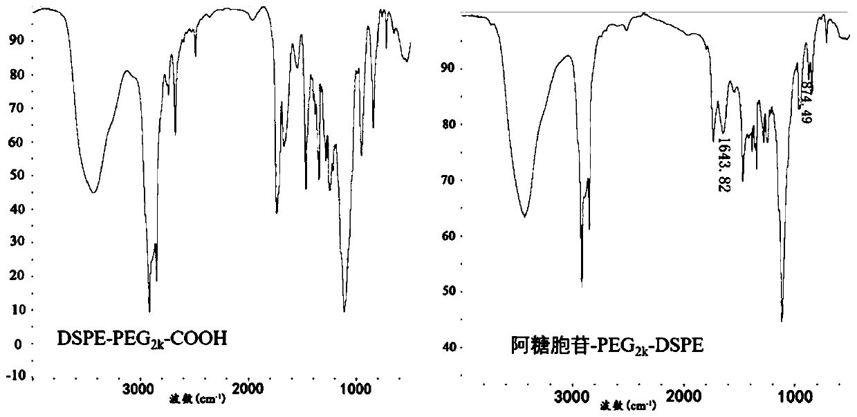 Preparation method and application of cytarabine-modified methotrexate-loaded liposome