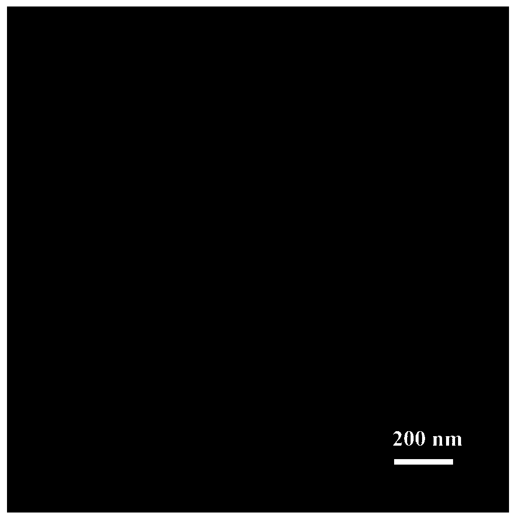 Preparation method and application of cytarabine-modified methotrexate-loaded liposome