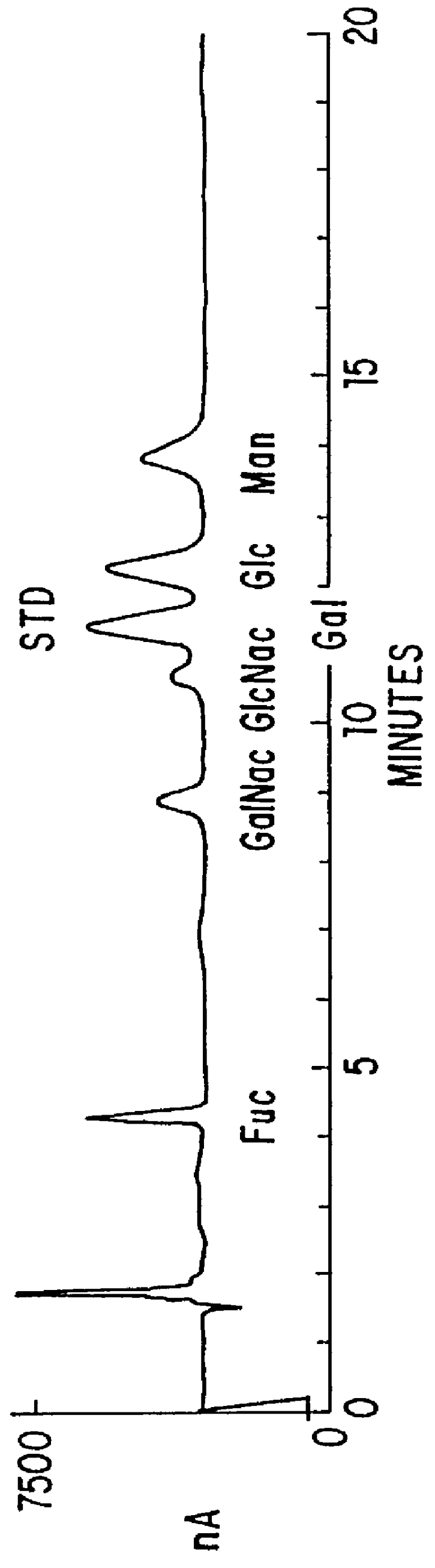 Methods for producing enhanced antigenic Helicobacter sp.