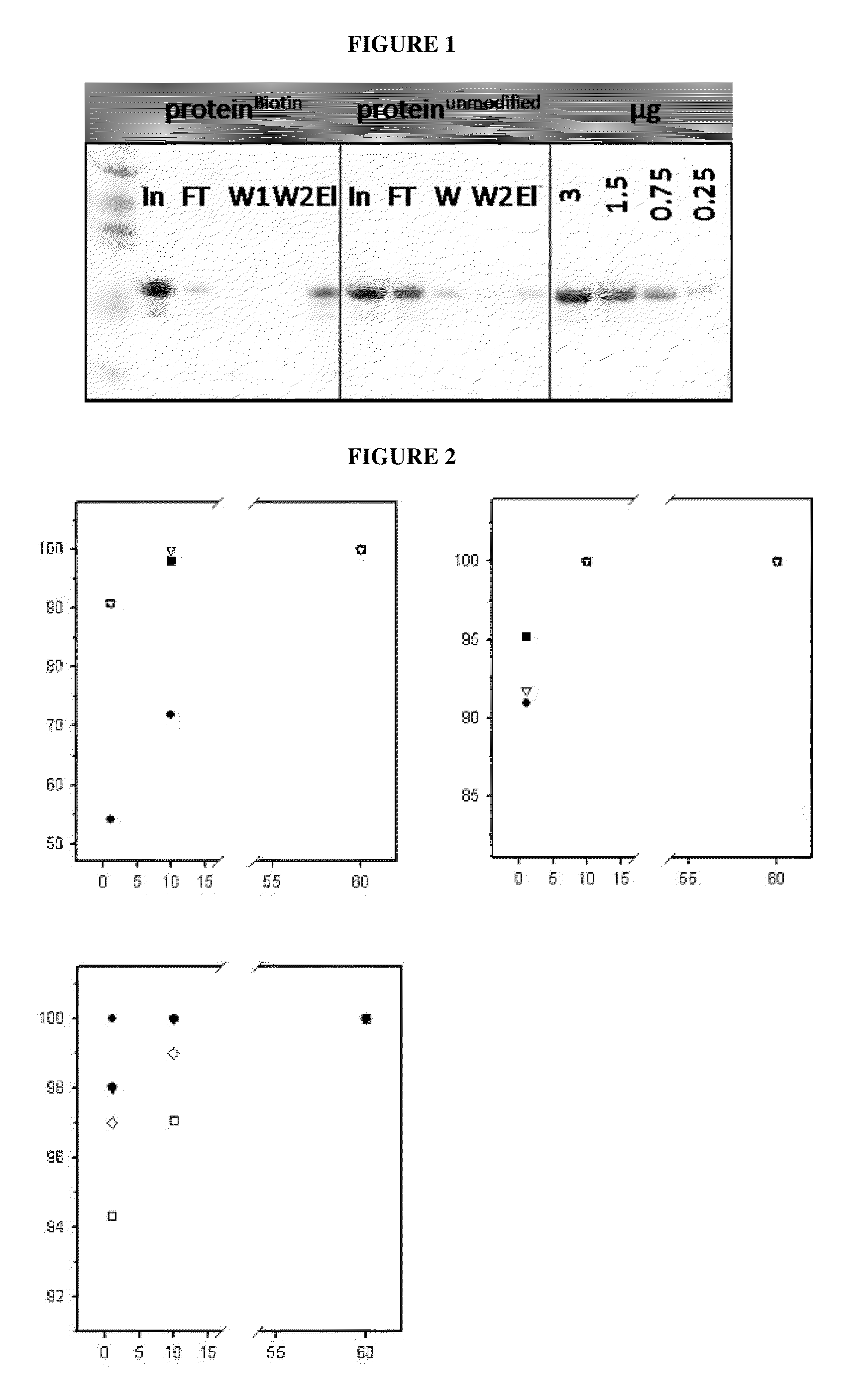 Reversible covalent linkage of functional molecules