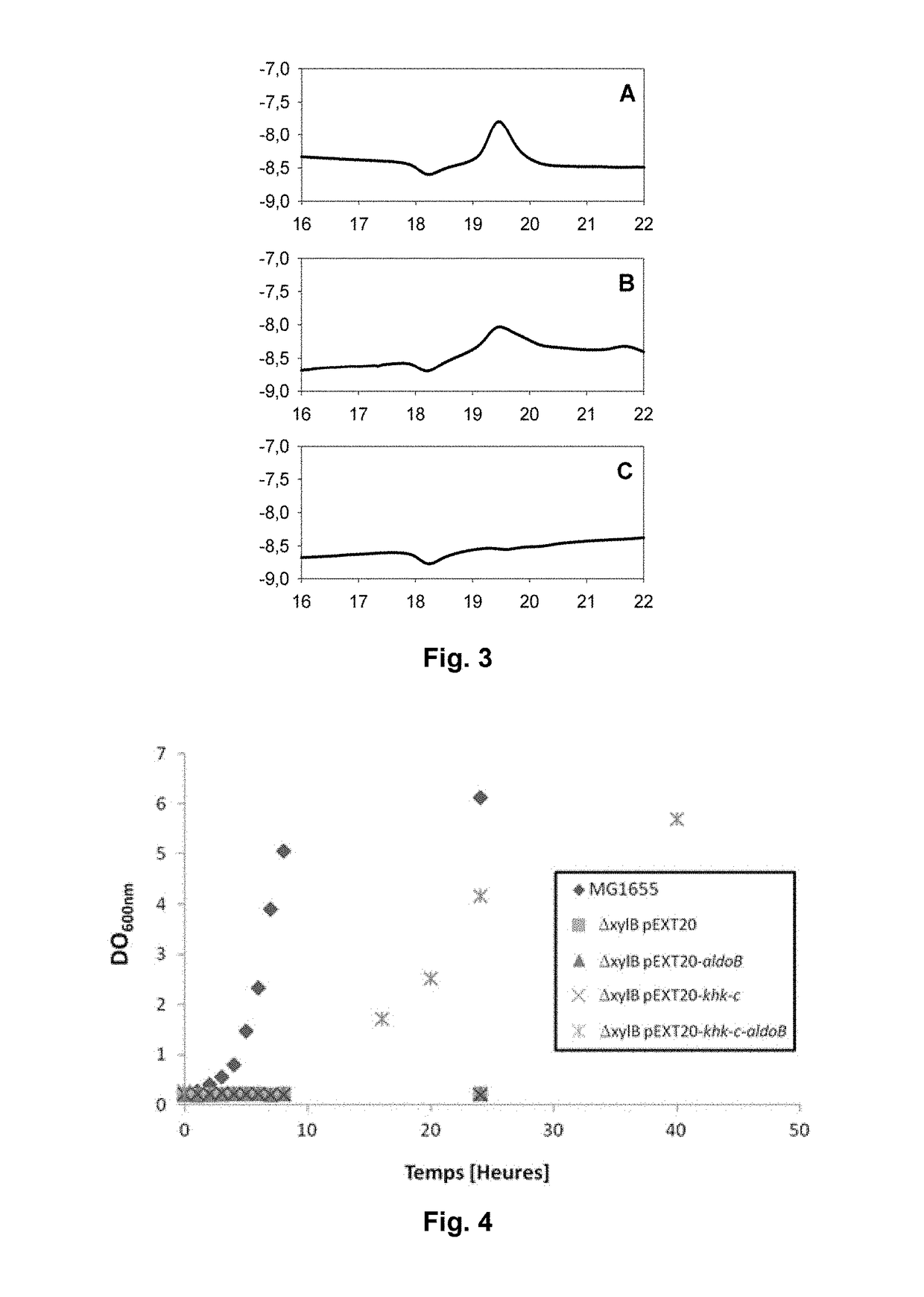 Process for producing at least one metabolite of interest by conversion of a pentose in a microorganism