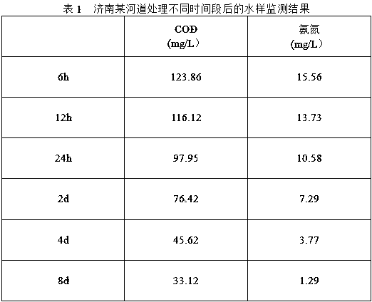 Bacillus natto ADT and application thereof