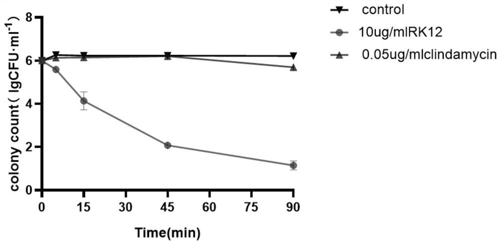 Application of polypeptide RK12 in preparation of medicine for treating acne