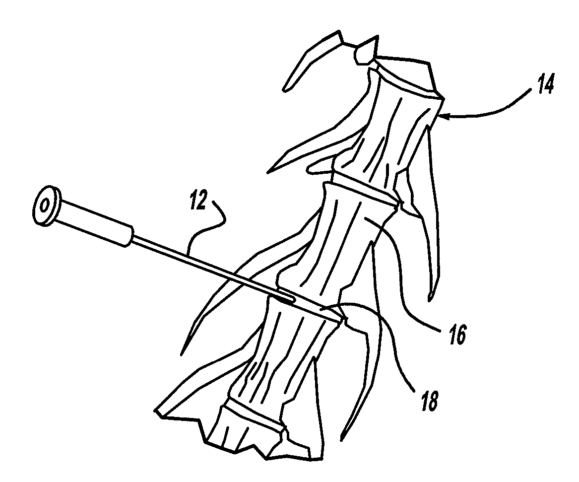 Method for Providing an InVivo Model of Disc Degeneration