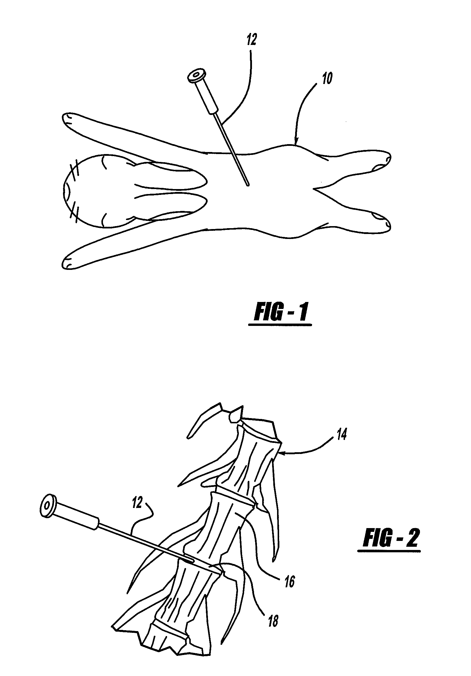 Method for Providing an InVivo Model of Disc Degeneration