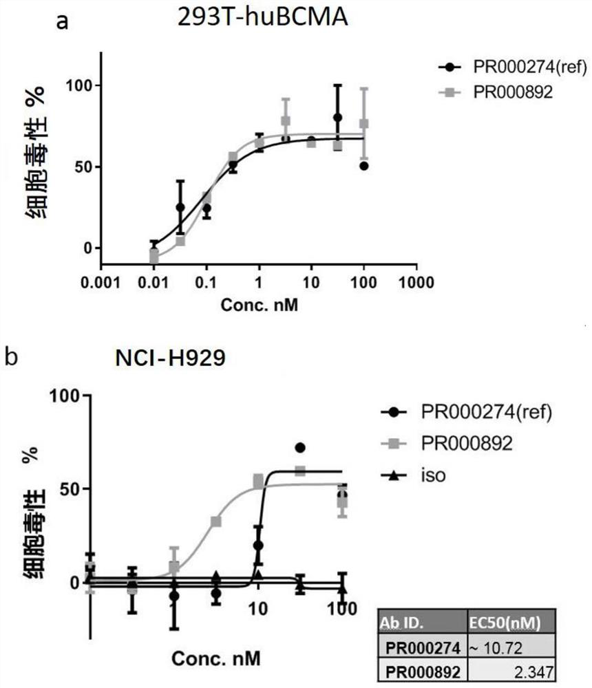 A kind of bcma binding protein and its preparation method and application