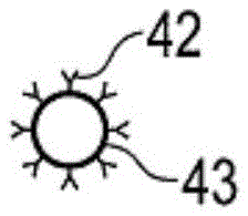 Method and device for detecting sample