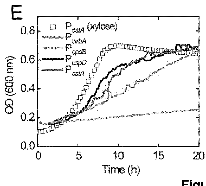 Fusion proteins useful for producing pinene