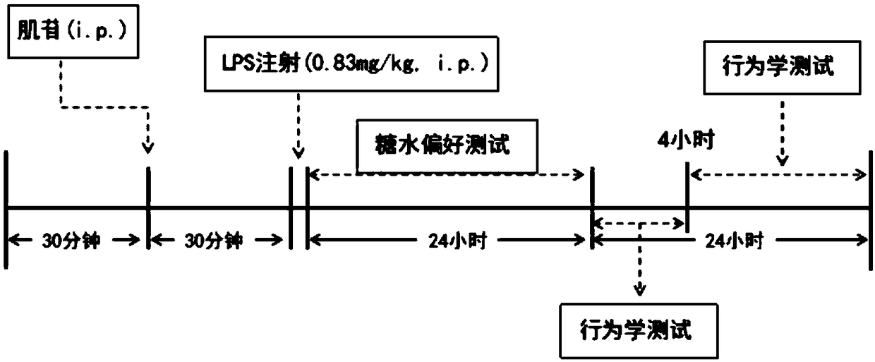 Application of inosine in prevention and treatment of depression