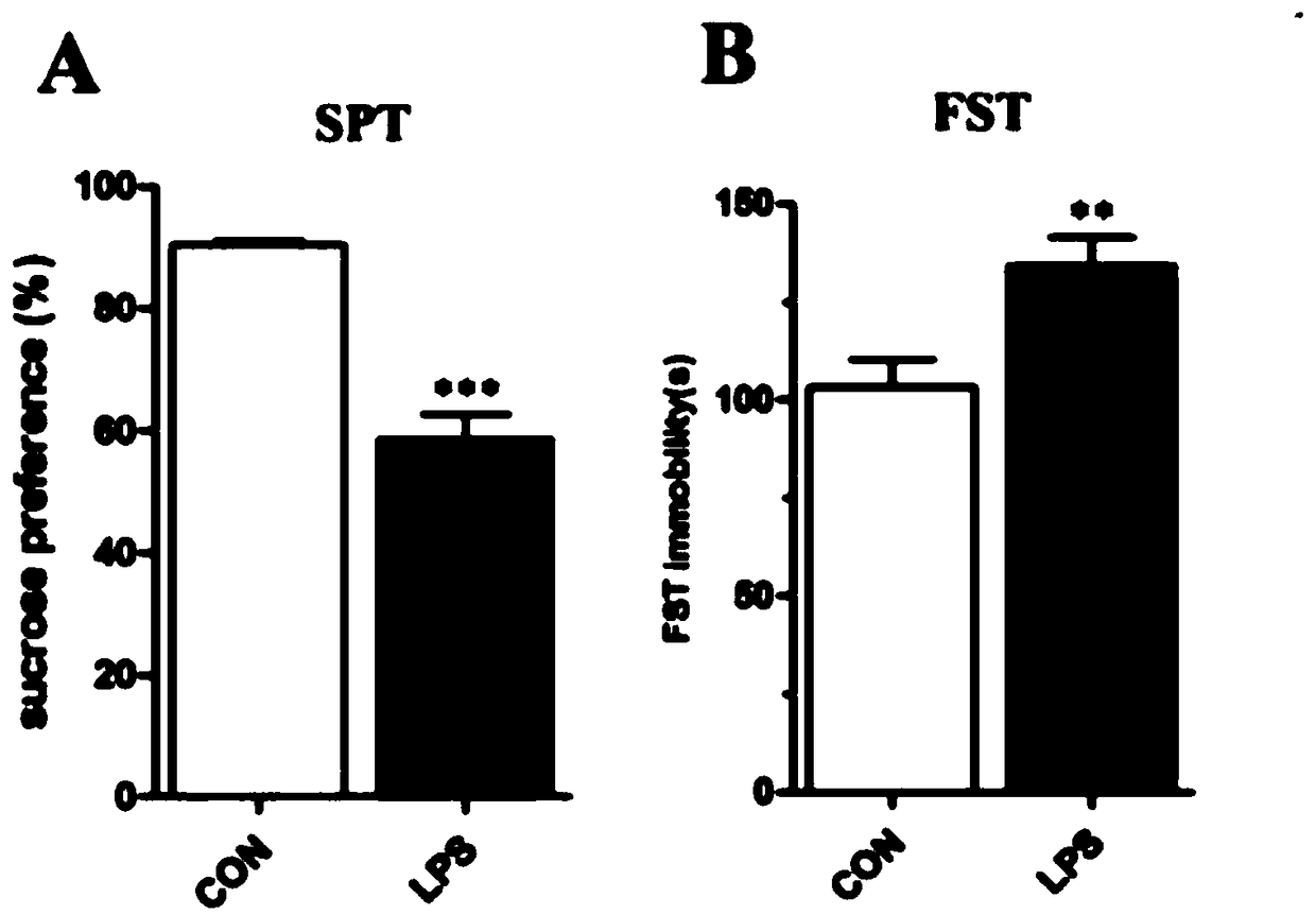 Application of inosine in prevention and treatment of depression