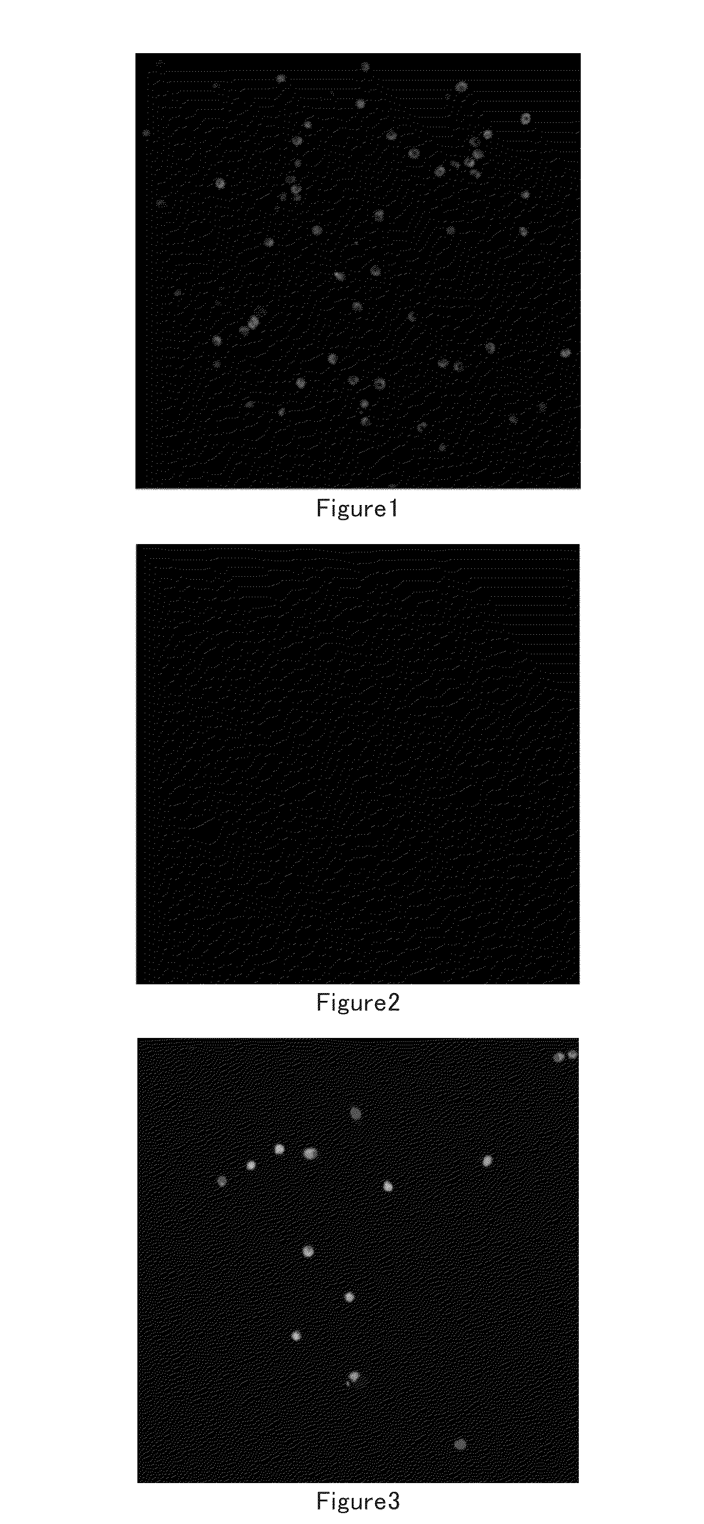 Muscle stem cell in vitro culture method and application