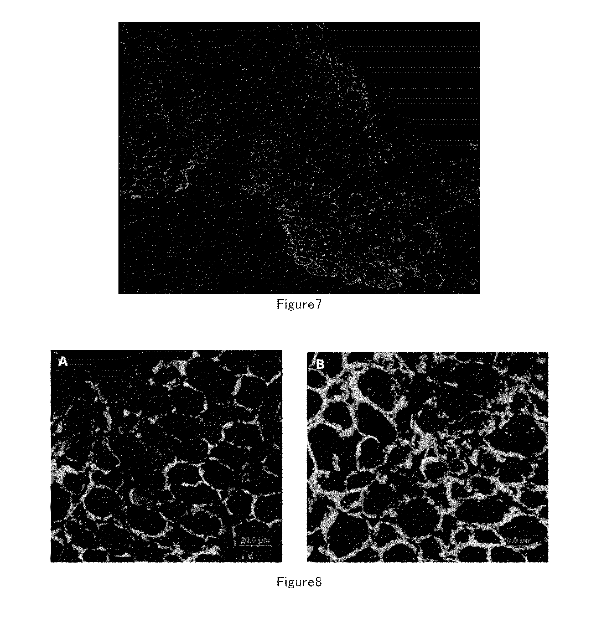 Muscle stem cell in vitro culture method and application