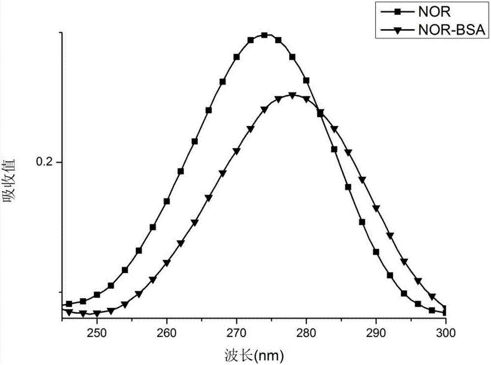 Microfluidic paper based sensor based on fluoroimmunoassay and utilizing quantum dot as marker to detect norfloxacin in milk