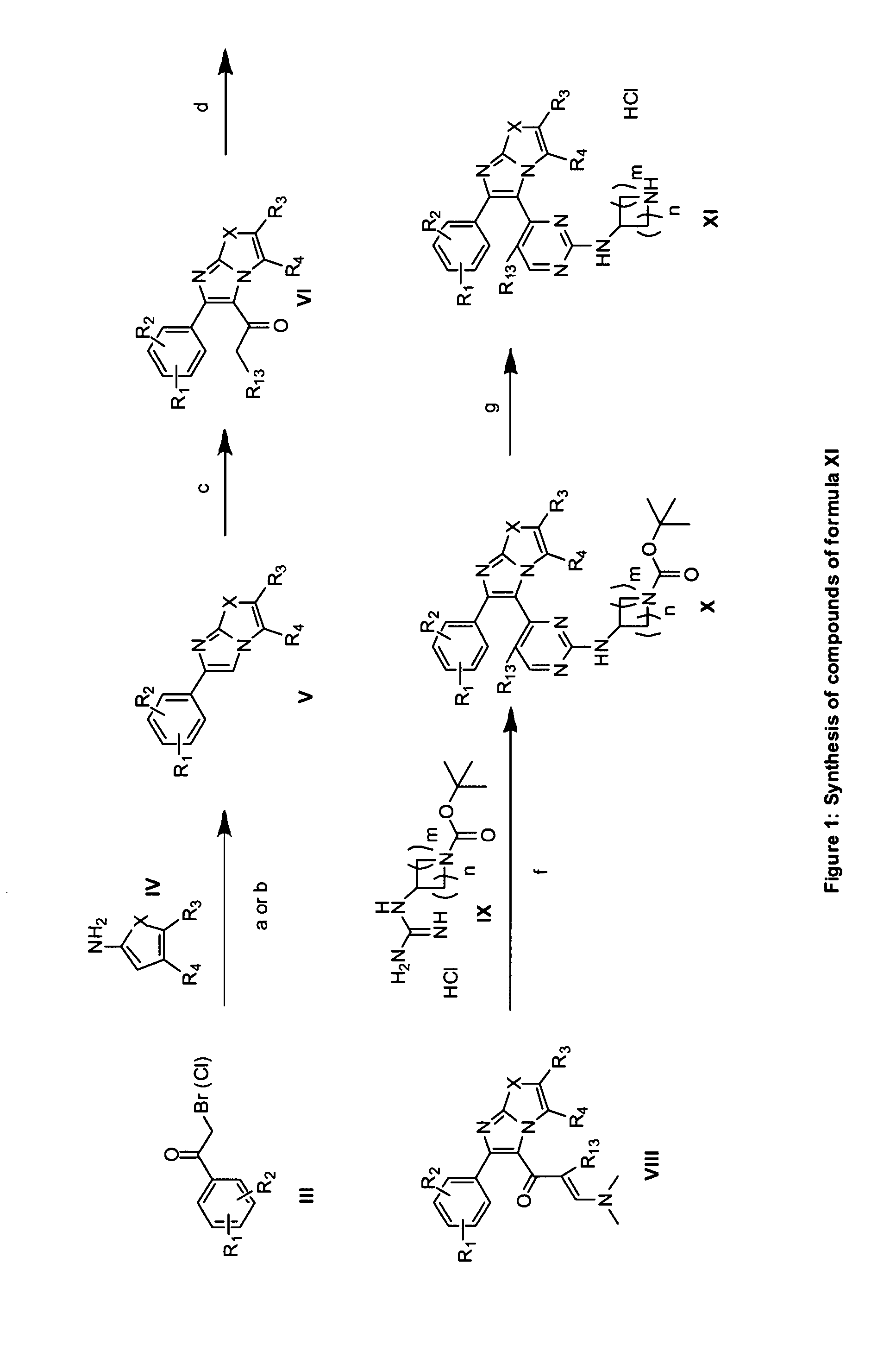 RAF inhibitors and their uses