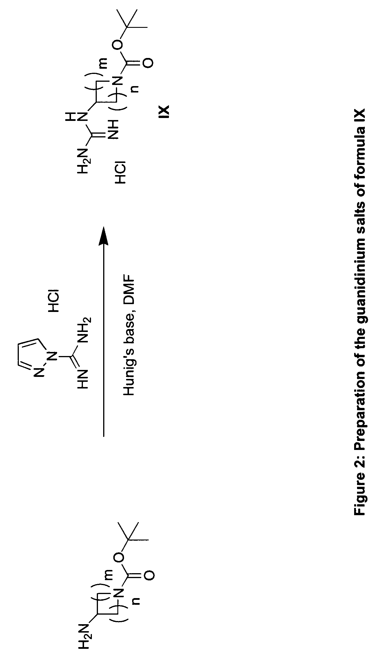 RAF inhibitors and their uses