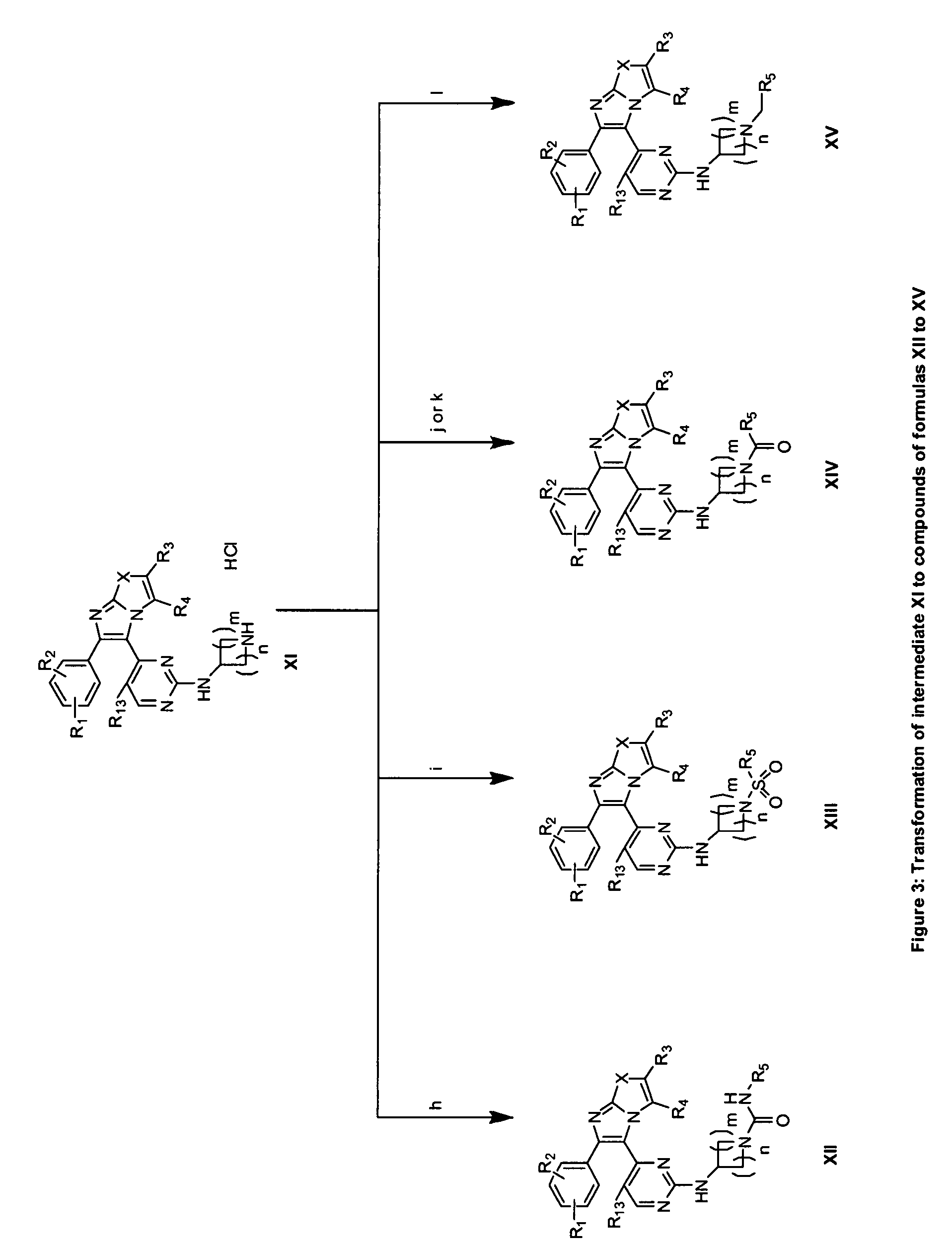 RAF inhibitors and their uses