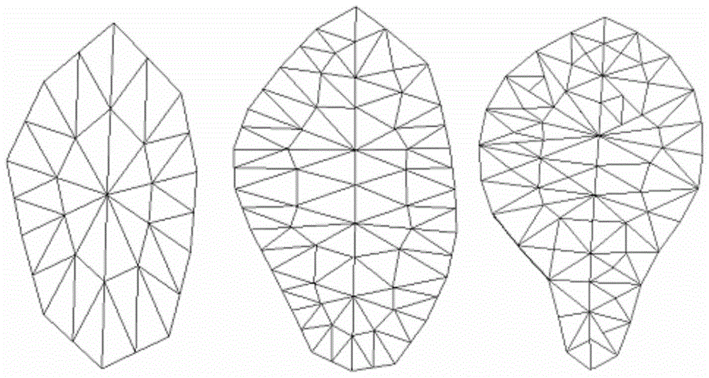 Method and system for three-dimensional reconstruction of leaves and fruits in fruit tree canopy