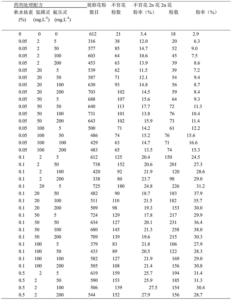 Method for culturing triploid petunia