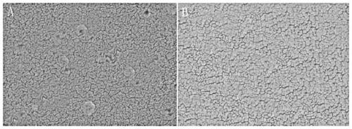 Preparation method for composite polysulfone membrane and application of composite polysulfone membrane in treatment of marine aquaculture wastewater